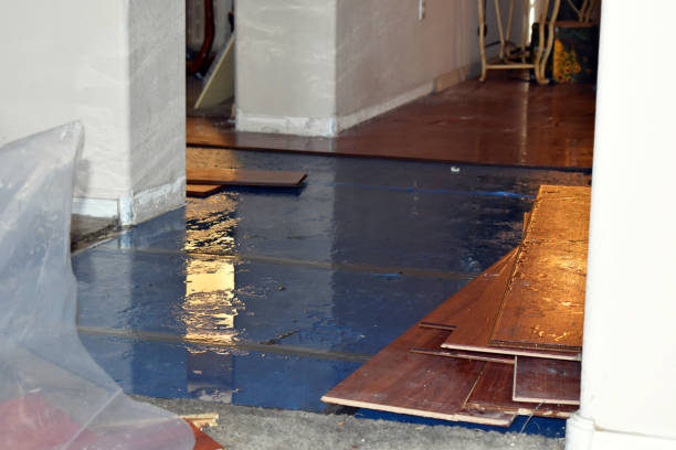 Professional Emergency Water Damage Restoration technician working in Isle Saint George, OH